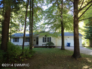 1573 E James St, White Cloud, MI 49349 photo 1