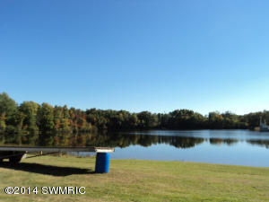 1573 E James St, White Cloud, MI 49349 photo 25