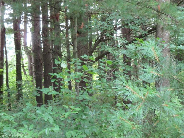 1573 E James St, White Cloud, MI 49349 photo 20