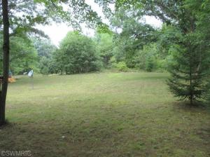 1573 E James St, White Cloud, MI 49349 photo 18