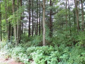 1573 E James St, White Cloud, MI 49349 photo 22
