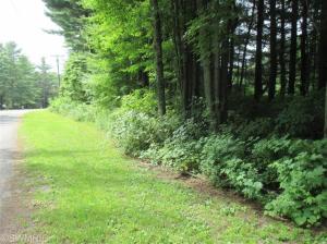 1573 E James St, White Cloud, MI 49349 photo 21