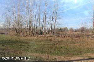9111 Meadows Pointe, Allendale, MI 49401 photo 17