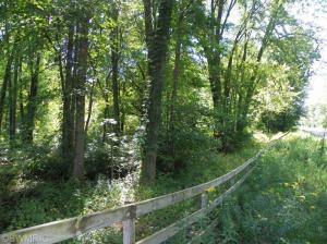 2092 142nd Ave, Dorr, MI 49323 photo 5