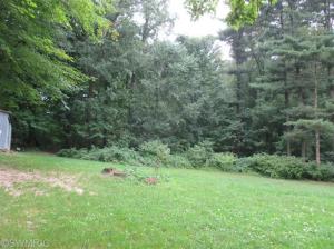 964 11th St, Plainwell, MI 49080 photo 5