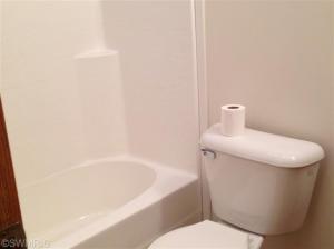 1011 Kenwood Ave, Belding, MI 48809 photo 12