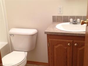 1011 Kenwood Ave, Belding, MI 48809 photo 11