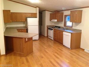 1011 Kenwood Ave, Belding, MI 48809 photo 2