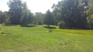 68 Flat River Dr SE, Lowell, MI 49331 photo 6