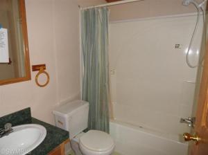 352 E Outlaw Dr, Irons, MI 49644 photo 16