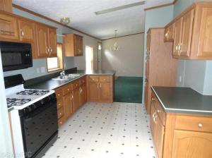 352 E Outlaw Dr, Irons, MI 49644 photo 5