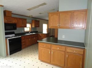 352 E Outlaw Dr, Irons, MI 49644 photo 4