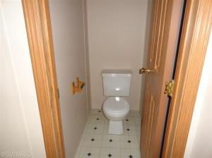 352 E Outlaw Dr, Irons, MI 49644 photo 14