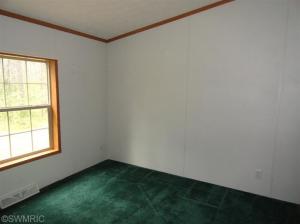 352 E Outlaw Dr, Irons, MI 49644 photo 15