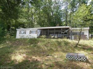 6008 S Hamlin Cir, Baldwin, MI 49304 photo 1