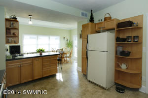 217 W Bridge St, Plainwell, MI 49080 photo 10