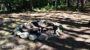 10030 E Coe Rd, Luther, MI 49656 photo 2