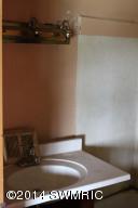 444 N Higbee St, Lyons, MI 48851 photo 3
