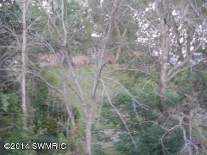 12000 S Grange Rd, Eagle, MI 48822 photo 23