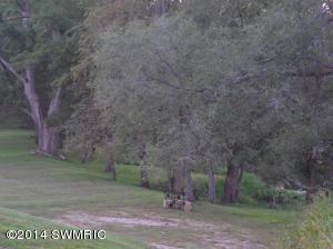 12000 S Grange Rd, Eagle, MI 48822 photo 21