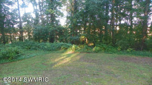 53635 Zinsmaster Rd, Mendon, MI 49072 photo 23