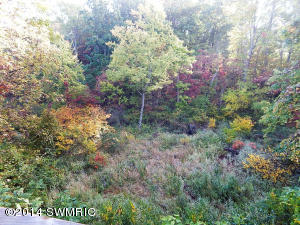 13356 Spence Rd, Three Rivers, MI 49093 photo 15