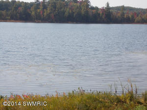 8071 E Millerton Rd, Branch, MI 49402 photo 29