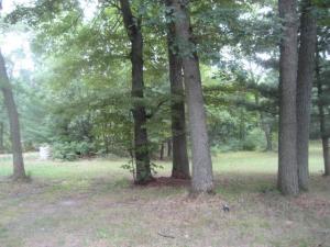 1250 E Crooked Ln, White Cloud, MI 49349 photo 4