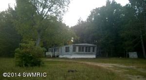 8005 E 72nd St, Newaygo, MI 49337 photo 1