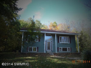 8980 S Reynolds Rd, Bellevue, MI 49021 photo 1