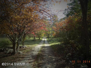 8980 S Reynolds Rd, Bellevue, MI 49021 photo 8