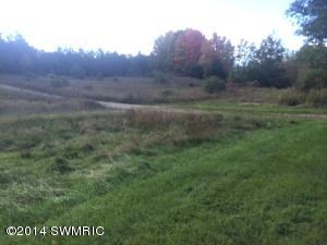 22321 30th Ave, Sears, MI 49679 photo 21