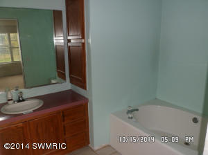 6825 N Whites Bridge Rd, Belding, MI 48809 photo 8