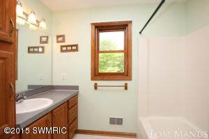 8025 Lessiter NE, Belding, MI 48809 photo 44