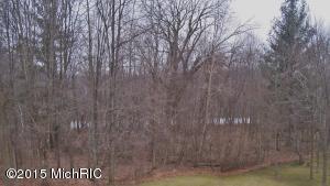 8025 Lessiter NE, Belding, MI 48809 photo 12