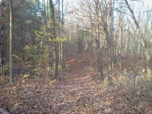 12955 Strotheide Rd NE, Belding, MI 48809 photo 17