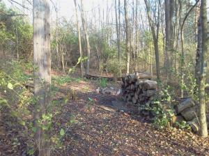 12955 Strotheide Rd NE, Belding, MI 48809 photo 20