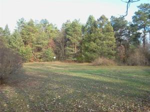 12955 Strotheide Rd NE, Belding, MI 48809 photo 16