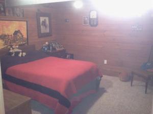 12955 Strotheide Rd NE, Belding, MI 48809 photo 8