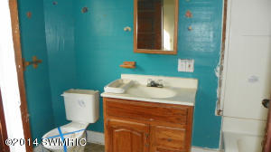 384 N Maple St, Marcellus, MI 49067 photo 15