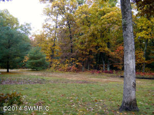2139 E Cedar St, Newaygo, MI 49337 photo 3