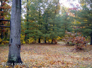 2139 E Cedar St, Newaygo, MI 49337 photo 4