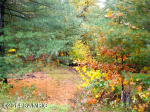 2139 E Cedar St, Newaygo, MI 49337 photo 30