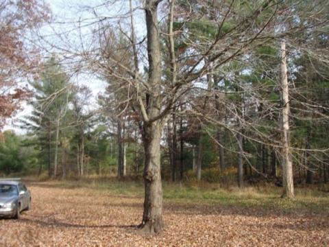 4710 E 96th, Newaygo, MI 49337 photo 3