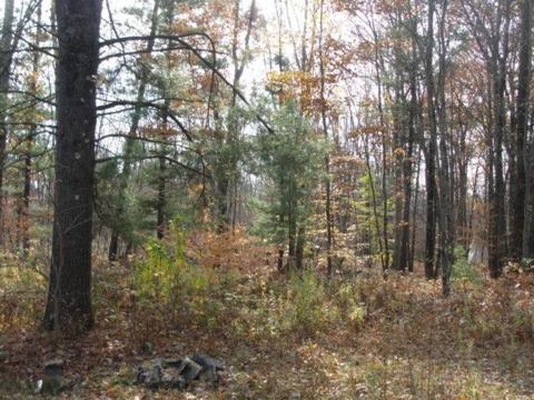4710 E 96th, Newaygo, MI 49337 photo 2