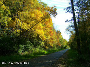 1027 Park Rd, Jackson, MI 49203 photo 45