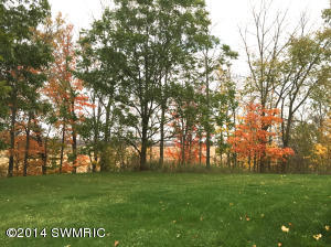 600 E Sisson Rd, Freeport, MI 49325 photo 4