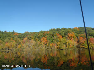 6047 Dave St, Newaygo, MI 49337 photo 9
