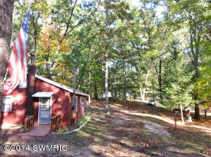 47 W Mikhail Trl, White Cloud, MI 49349 photo 6