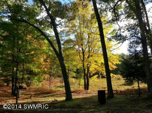 47 W Mikhail Trl, White Cloud, MI 49349 photo 7